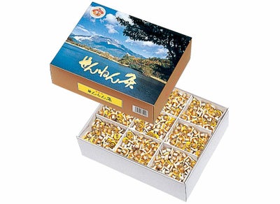 せんねん灸オフ ソフトきゅう 竹生島 | タカチホメディカルショップ