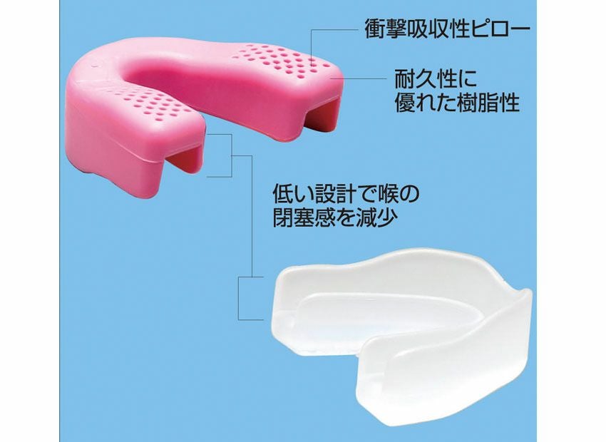 マウスガード解説