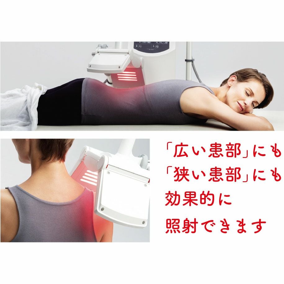 マイクロサーミー