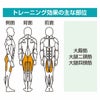 立ち上り訓 GK-002