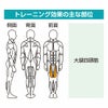 蹴り上げ訓 GK-006