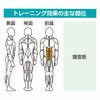 起き上り訓 GK-007