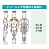 肩楽訓 GK-009