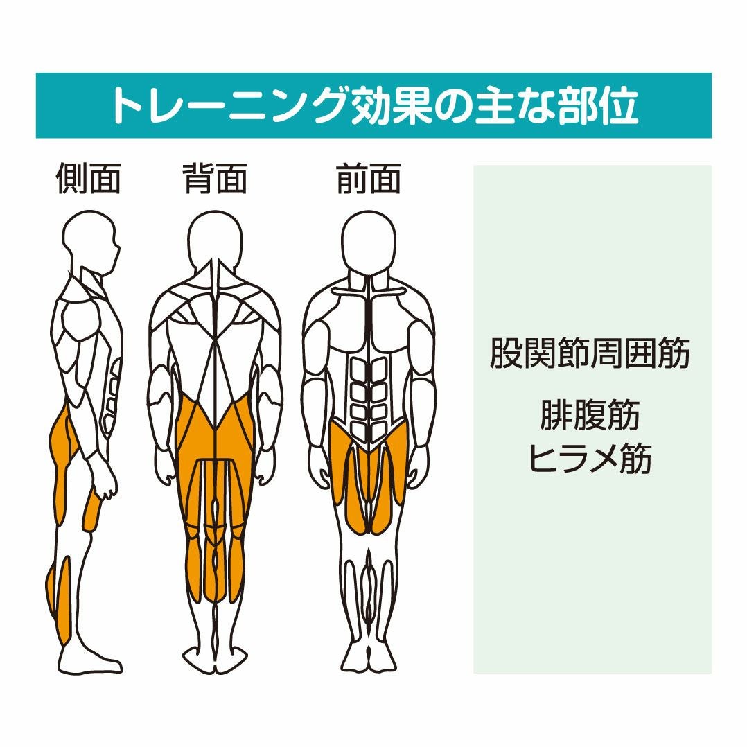 立ち屈み訓 GK-010